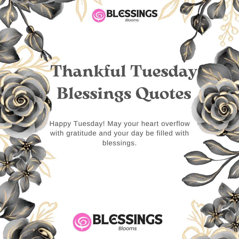 Thankful Tuesday Blessings Quotes