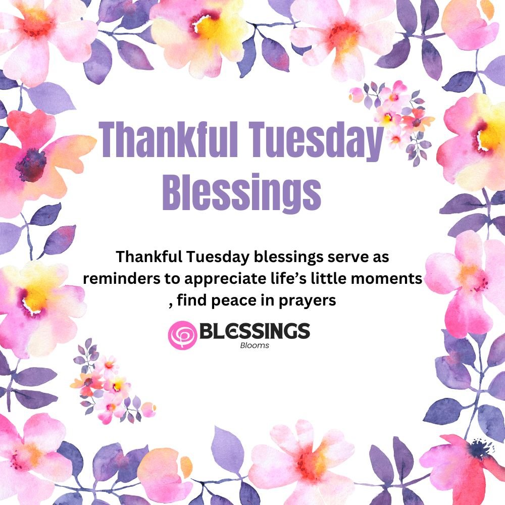 Thankful Tuesday Blessings