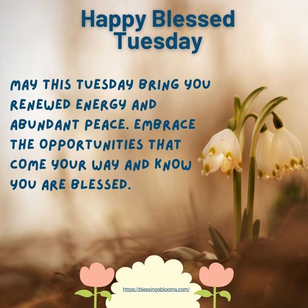 May this Tuesday bring you renewed energy and abundant peace. Embrace the opportunities that come your way and know you are blessed.