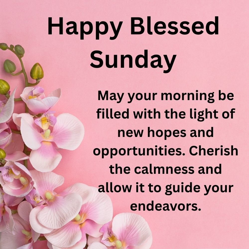 Happy Blessed Sunday