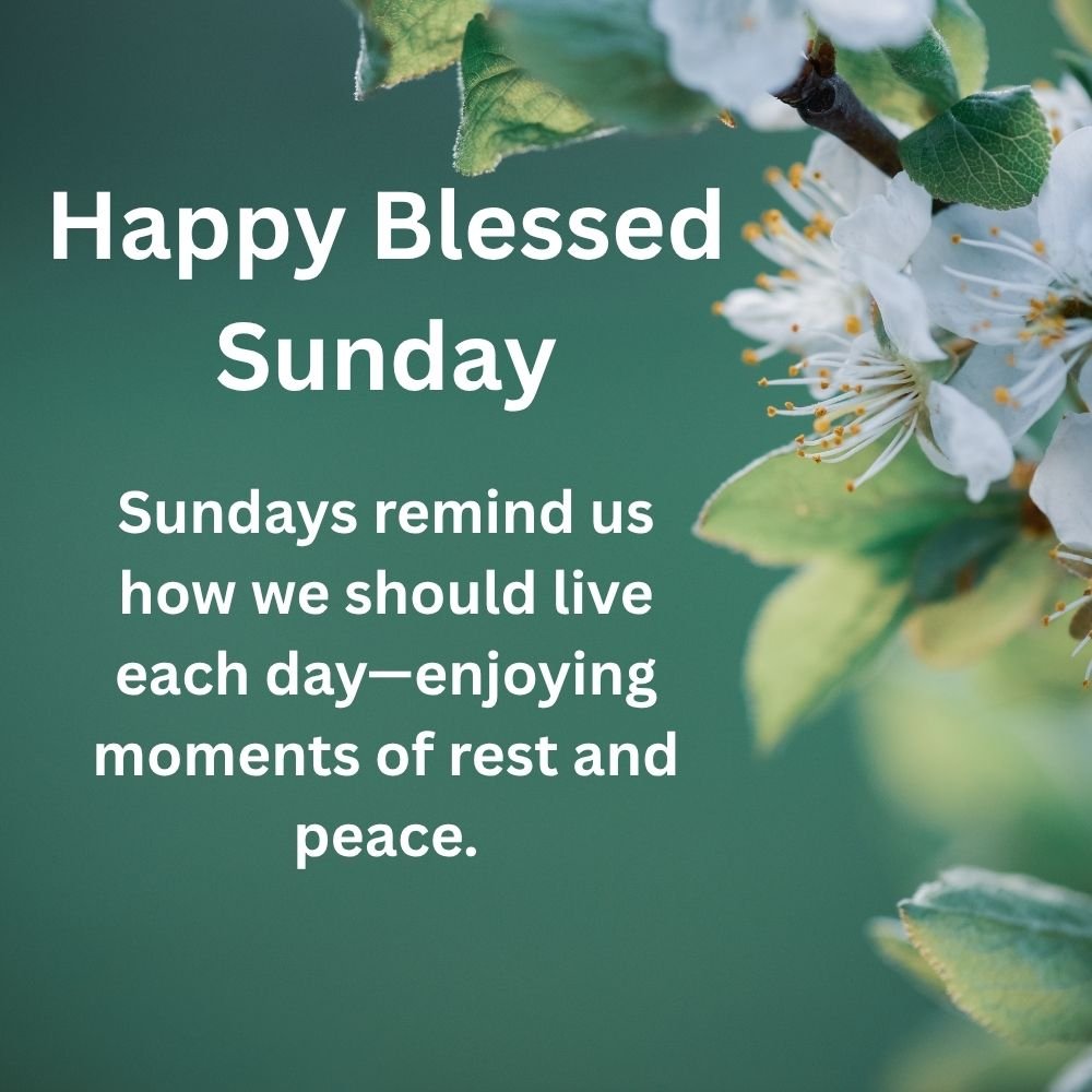 Happy Blessed Sunday