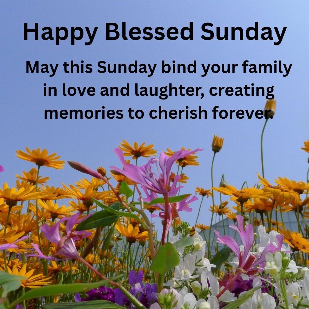 Happy Blessed Sunday