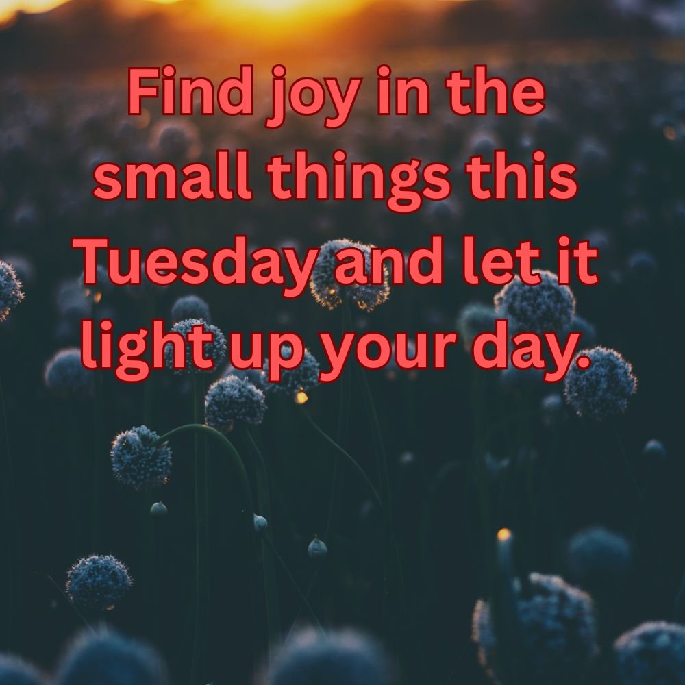 Encouragement Inspiration Good Morning Tuesday