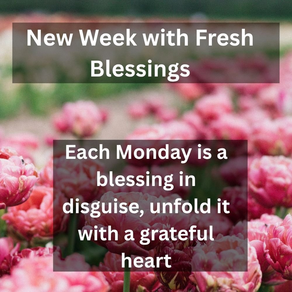 Each Monday is a blessing in disguise, unfold it with a grateful heart
