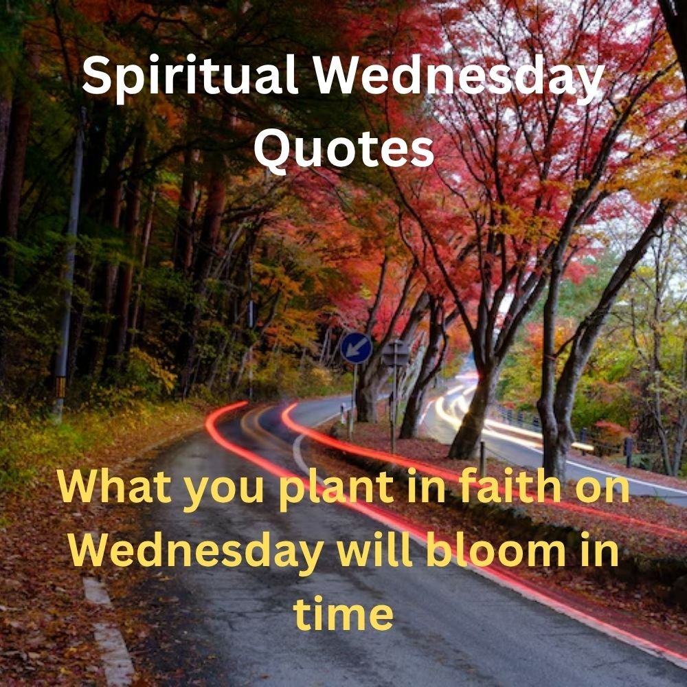 What you plant in faith on Wednesday will bloom in time