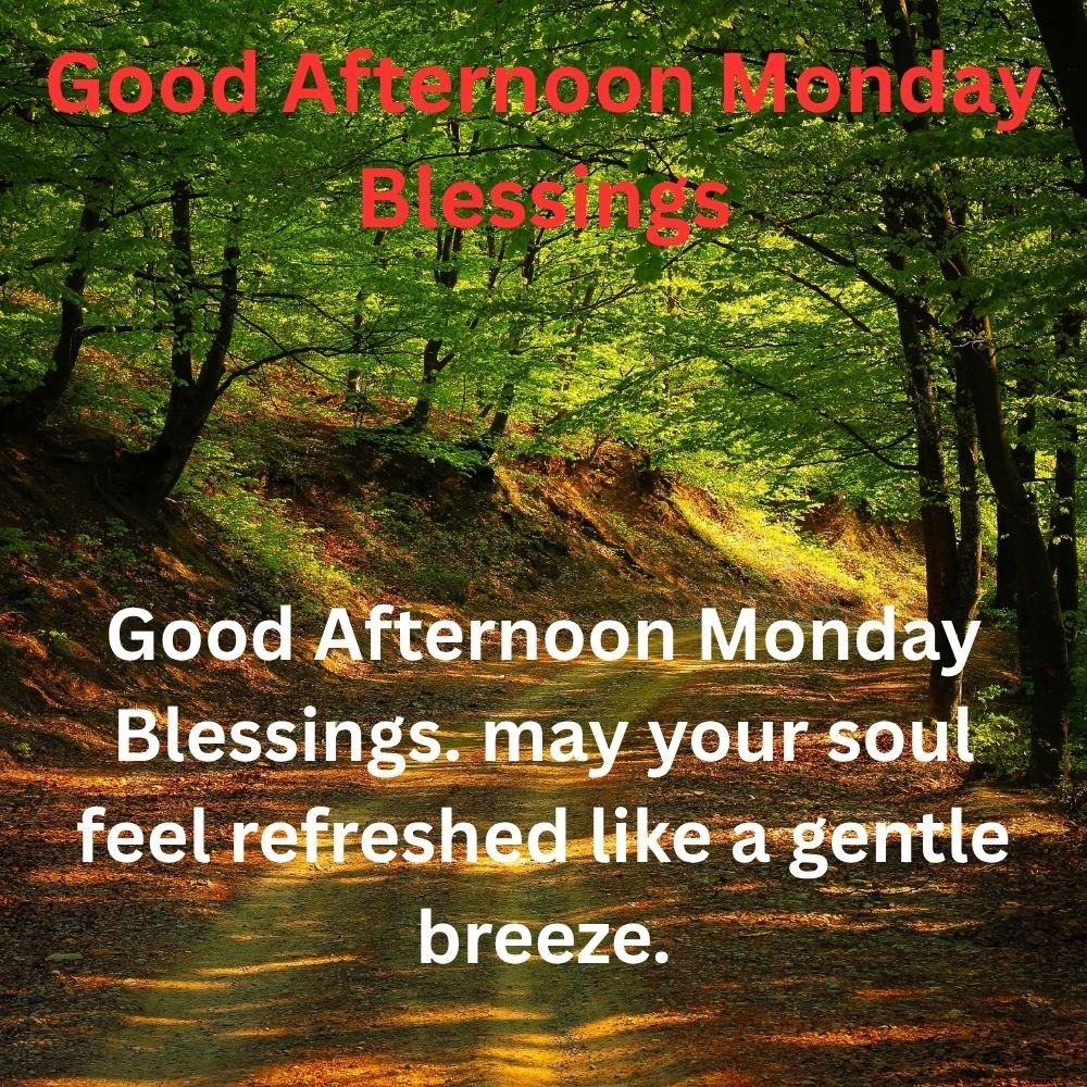 Good Afternoon Monday Blessings. may your soul feel refreshed like a gentle breeze.