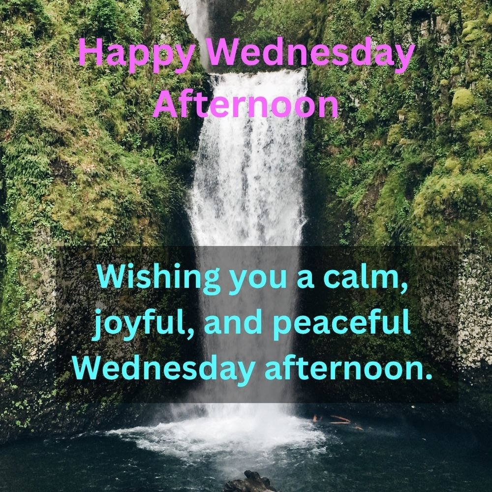 Happy Wednesday Afternoon