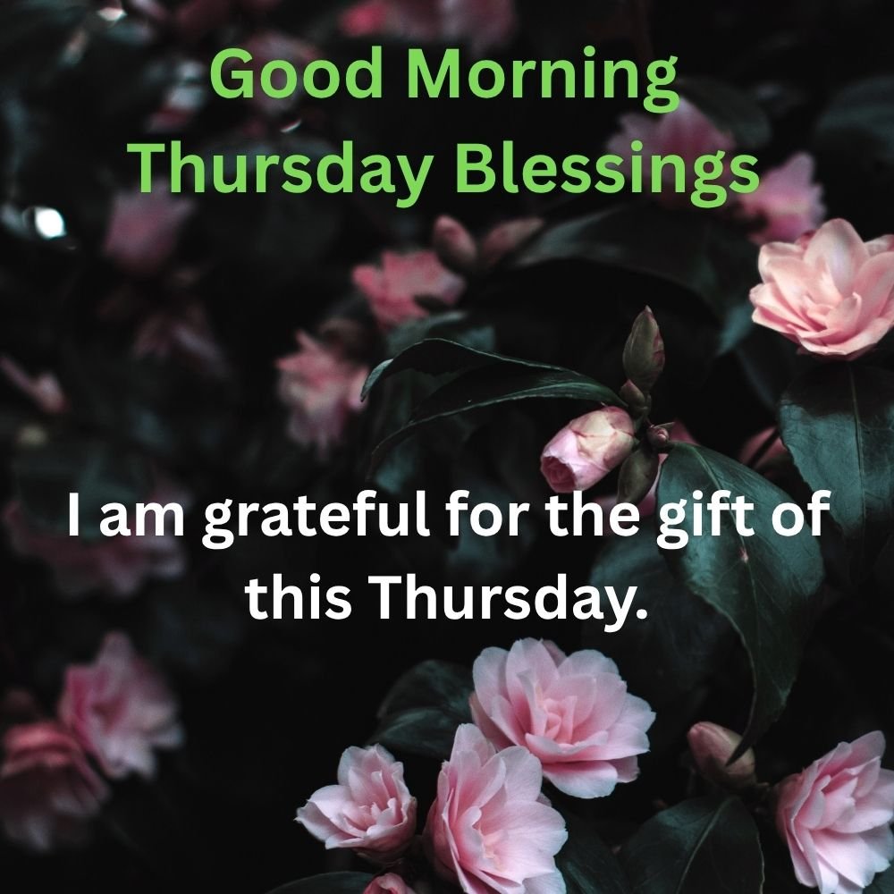 I am grateful for the gift of this Thursday.