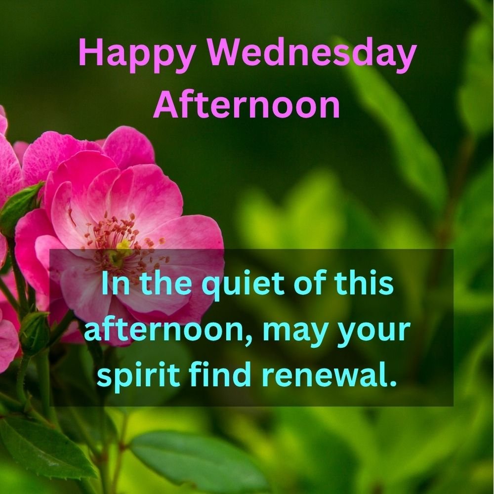 In the quiet of this afternoon, may your spirit find renewal.