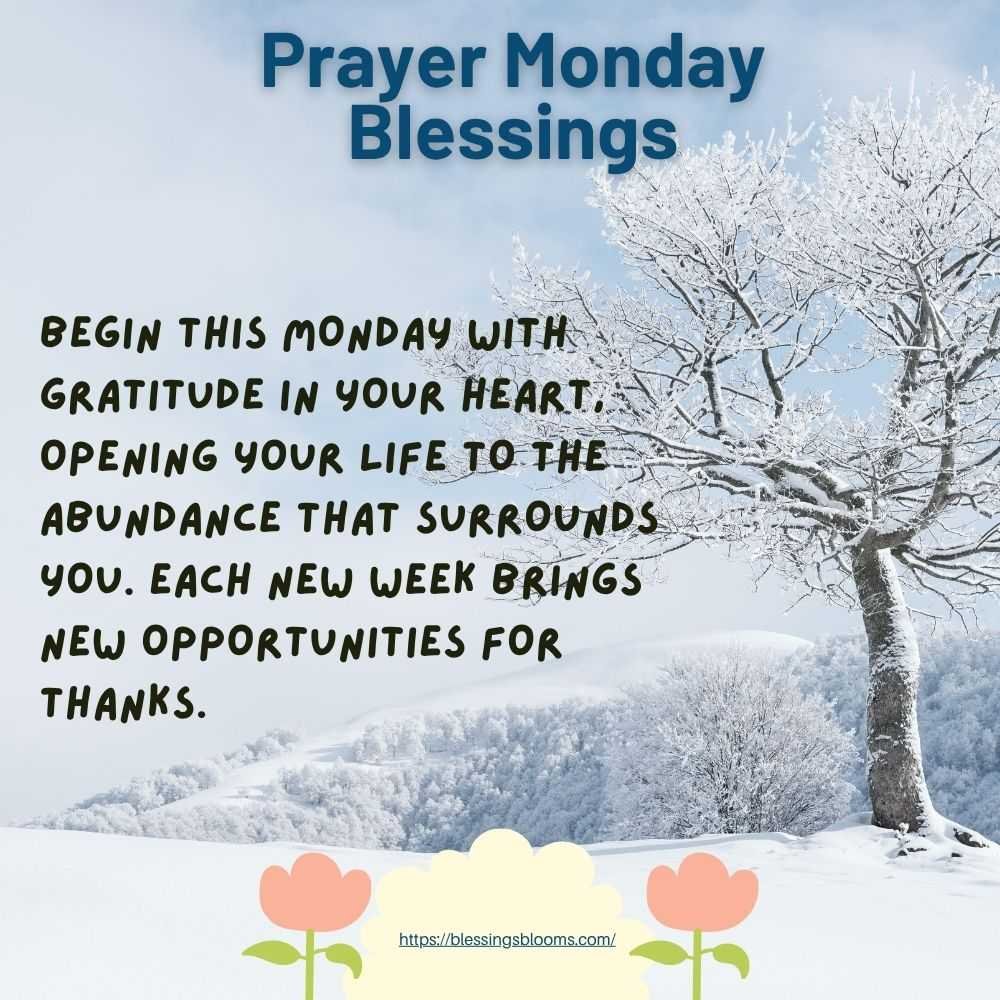 Begin this Monday with gratitude in your heart, opening your life to the abundance that surrounds you. Each new week brings new opportunities for thanks.