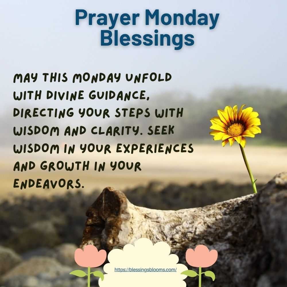 May this Monday unfold with divine guidance, directing your steps with wisdom and clarity. Seek wisdom in your experiences and growth in your endeavors