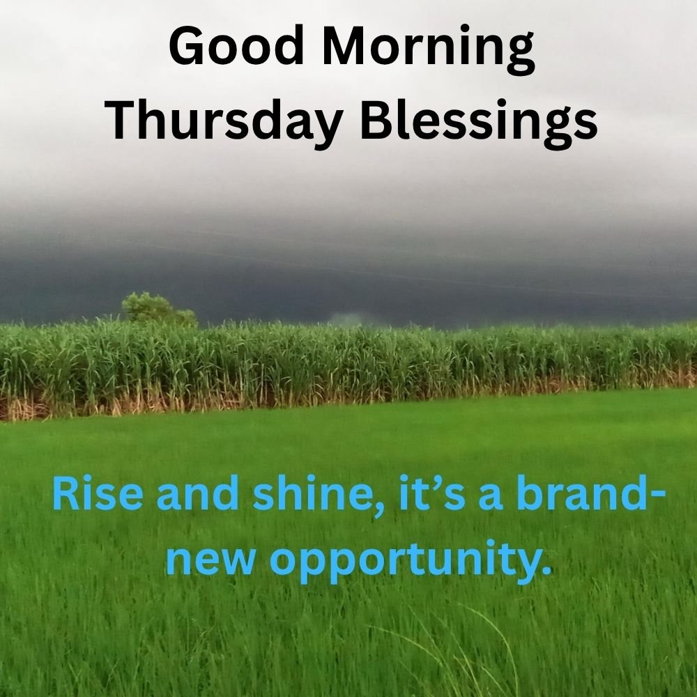 Rise and shine, it’s a brand-new opportunity.