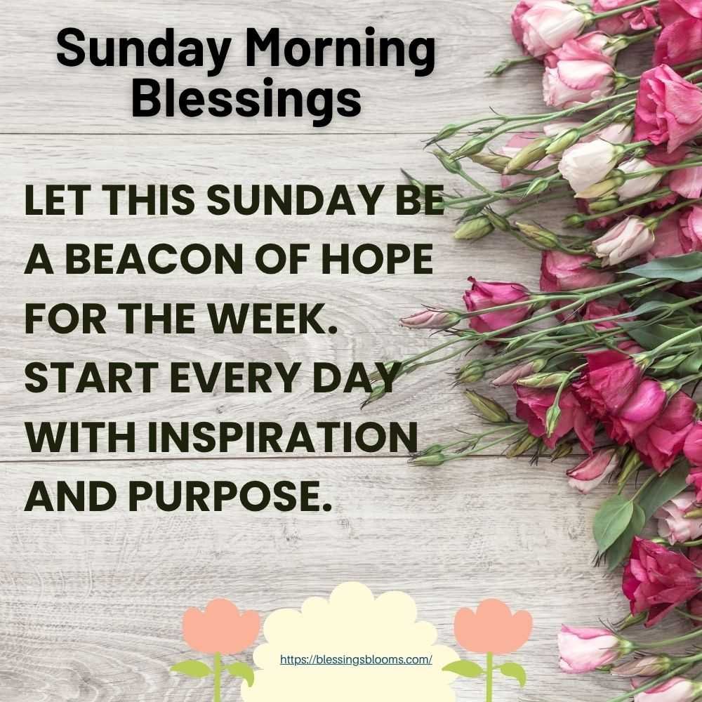 Let this Sunday be a beacon of hope for the week. Start every day with inspiration and purpose.