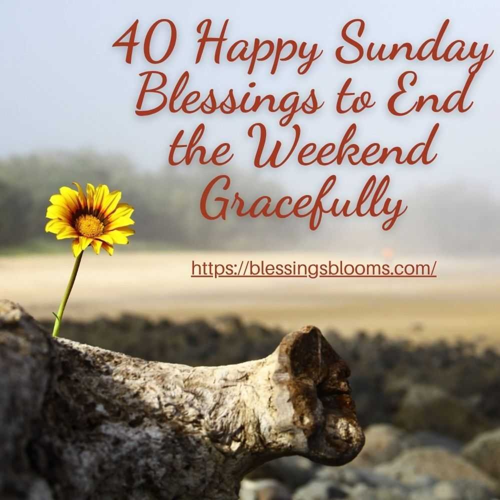 40 Happy Sunday Blessings to End the Weekend Gracefully