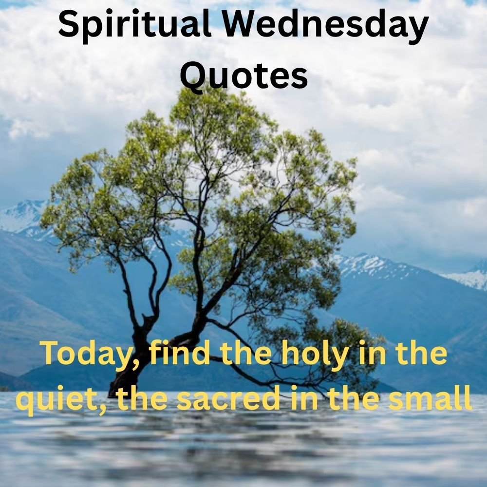 Today, find the holy in the quiet, the sacred in the small