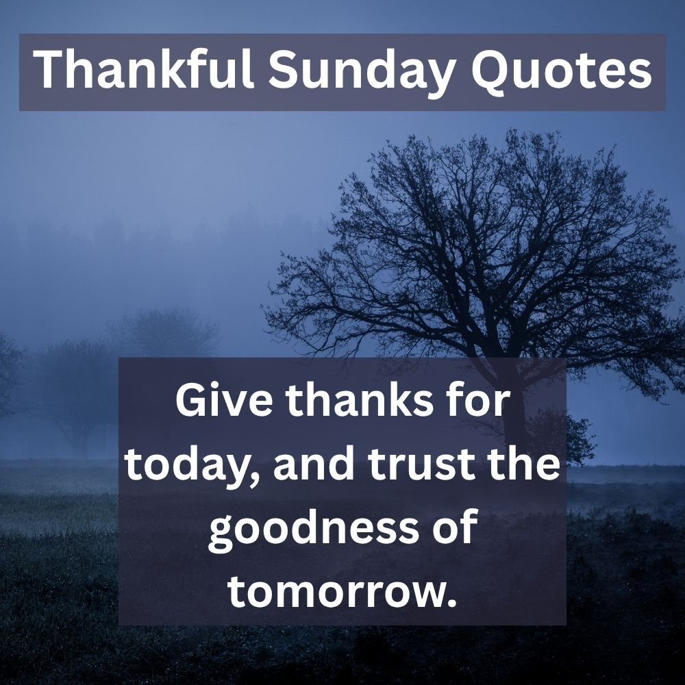 Give thanks for today, and trust the goodness of tomorrow.