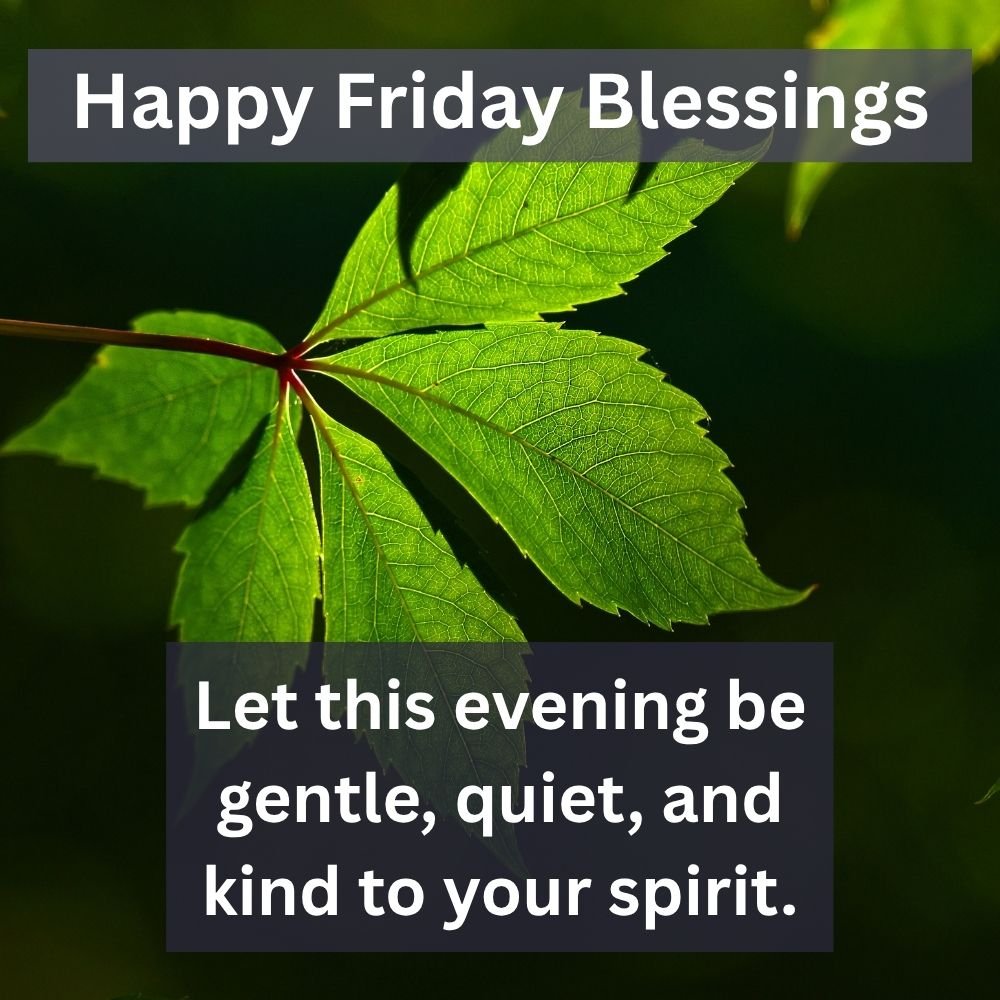 Let this evening be gentle, quiet, and kind to your spirit.