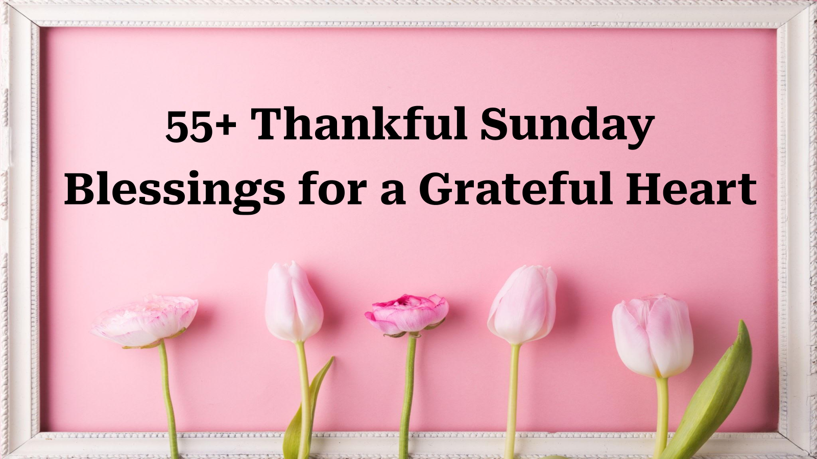 thankful sunday blessings