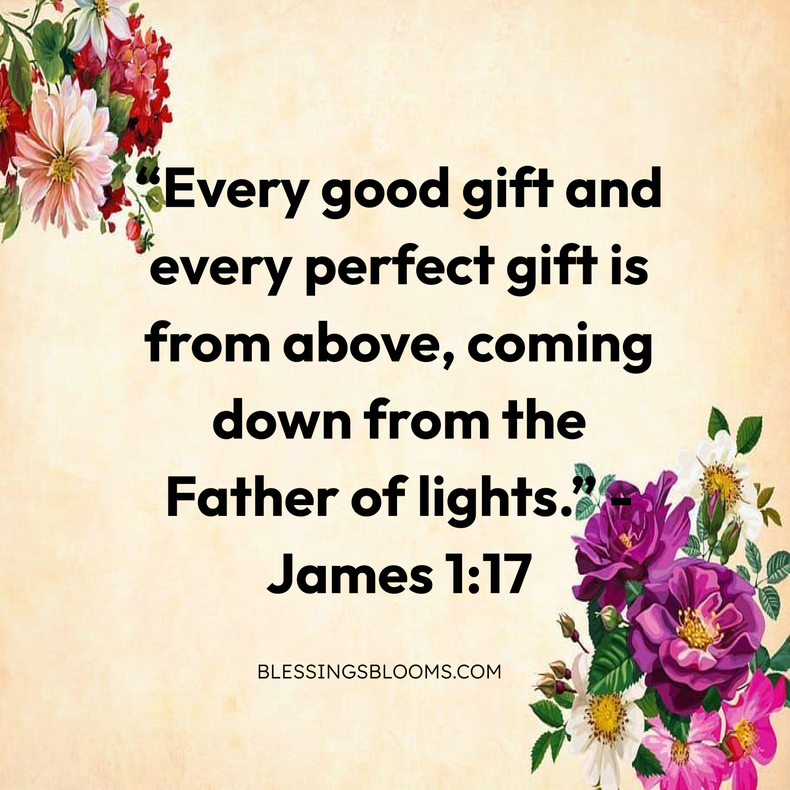 Abundant Gifts