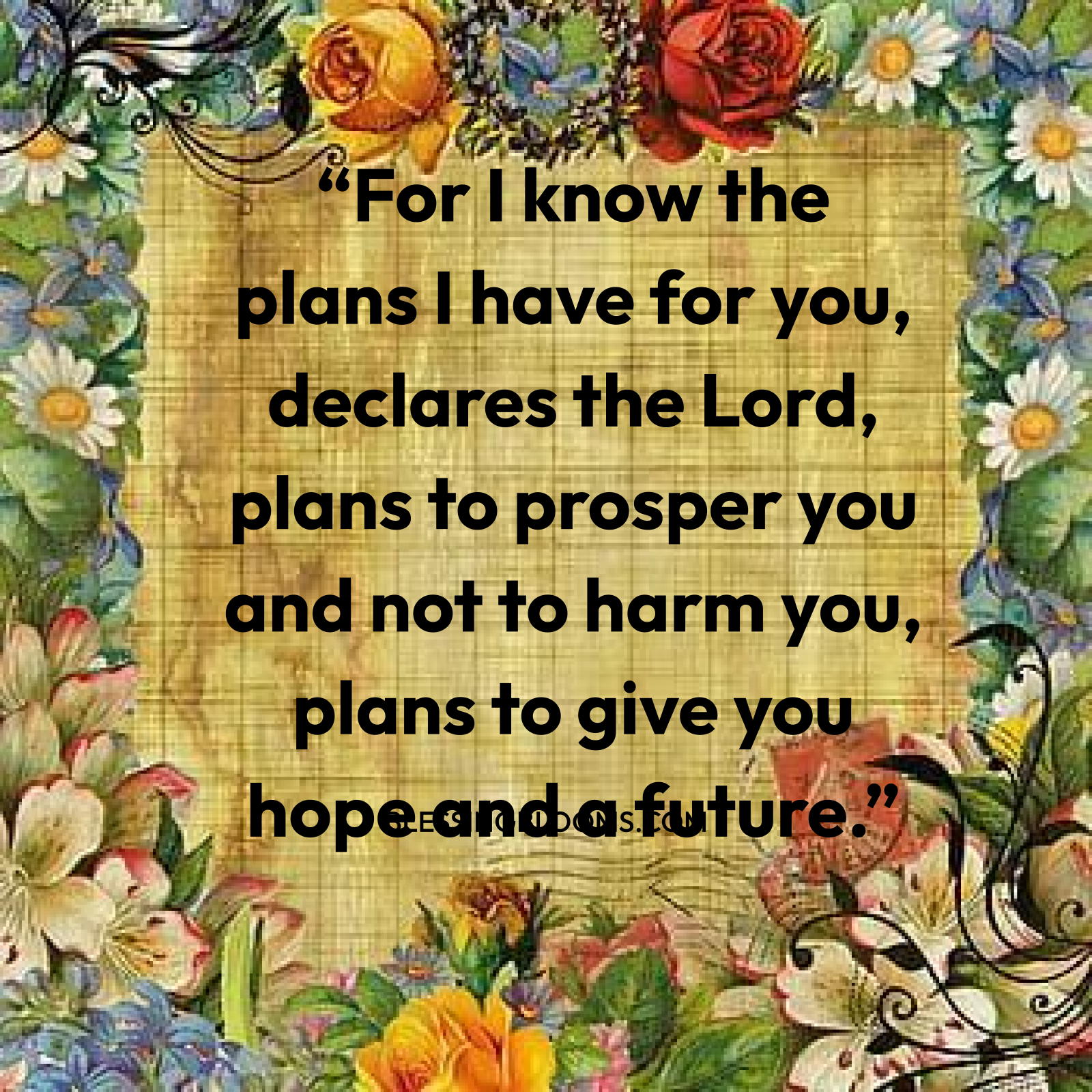 For I Know the Plans I Have for You