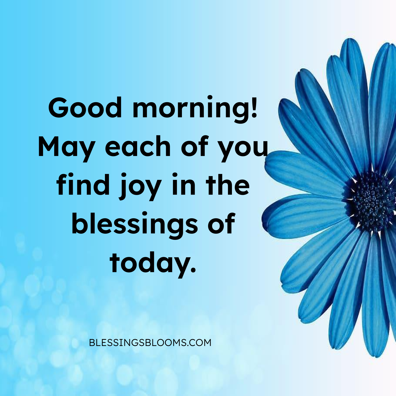 Shining Bright as a Family