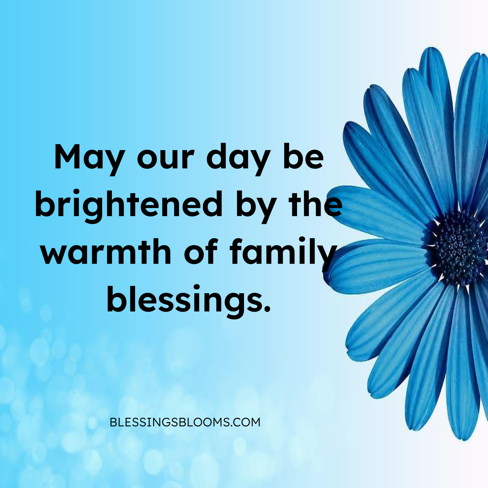 Family Blessings and Love
