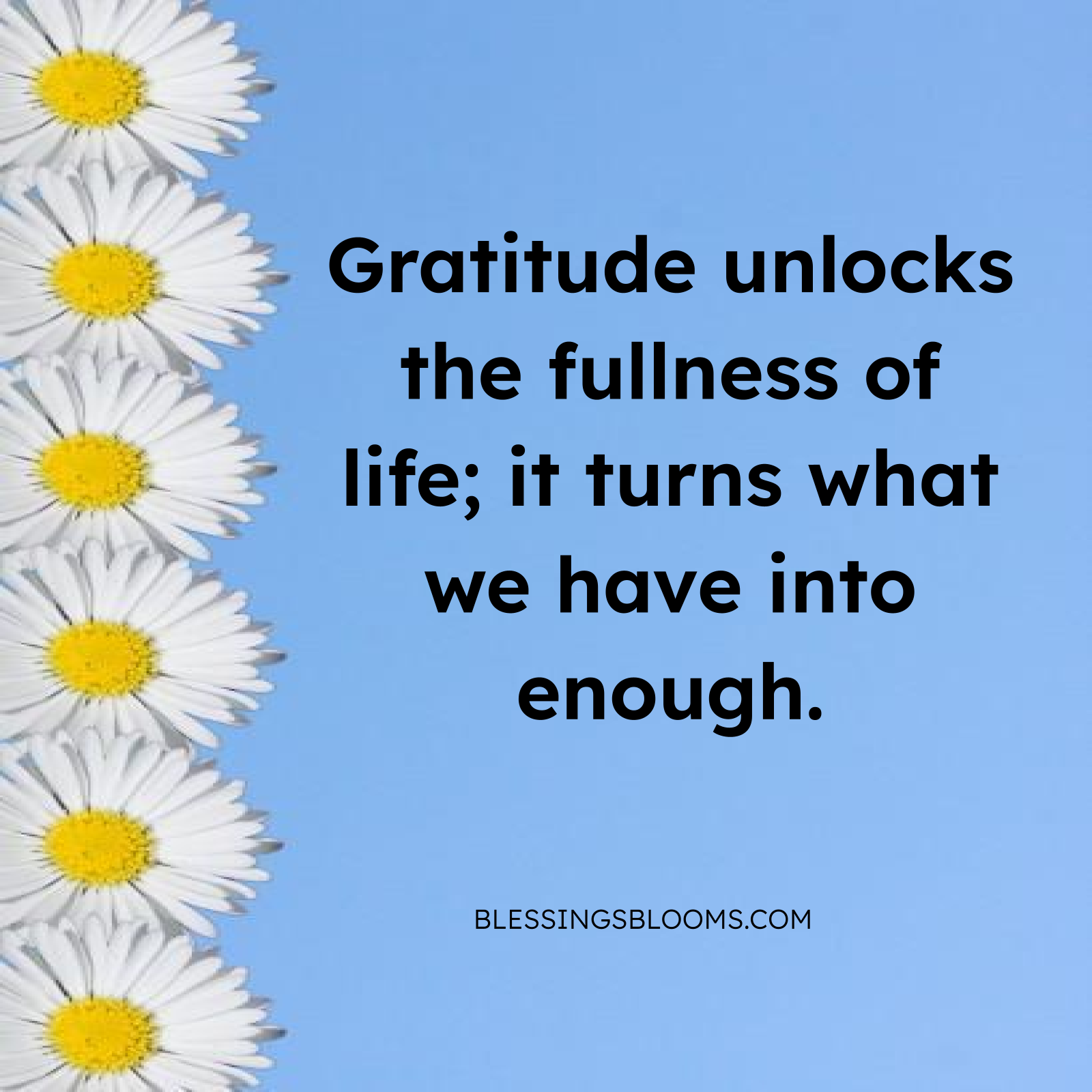 Joy and Peace of Family