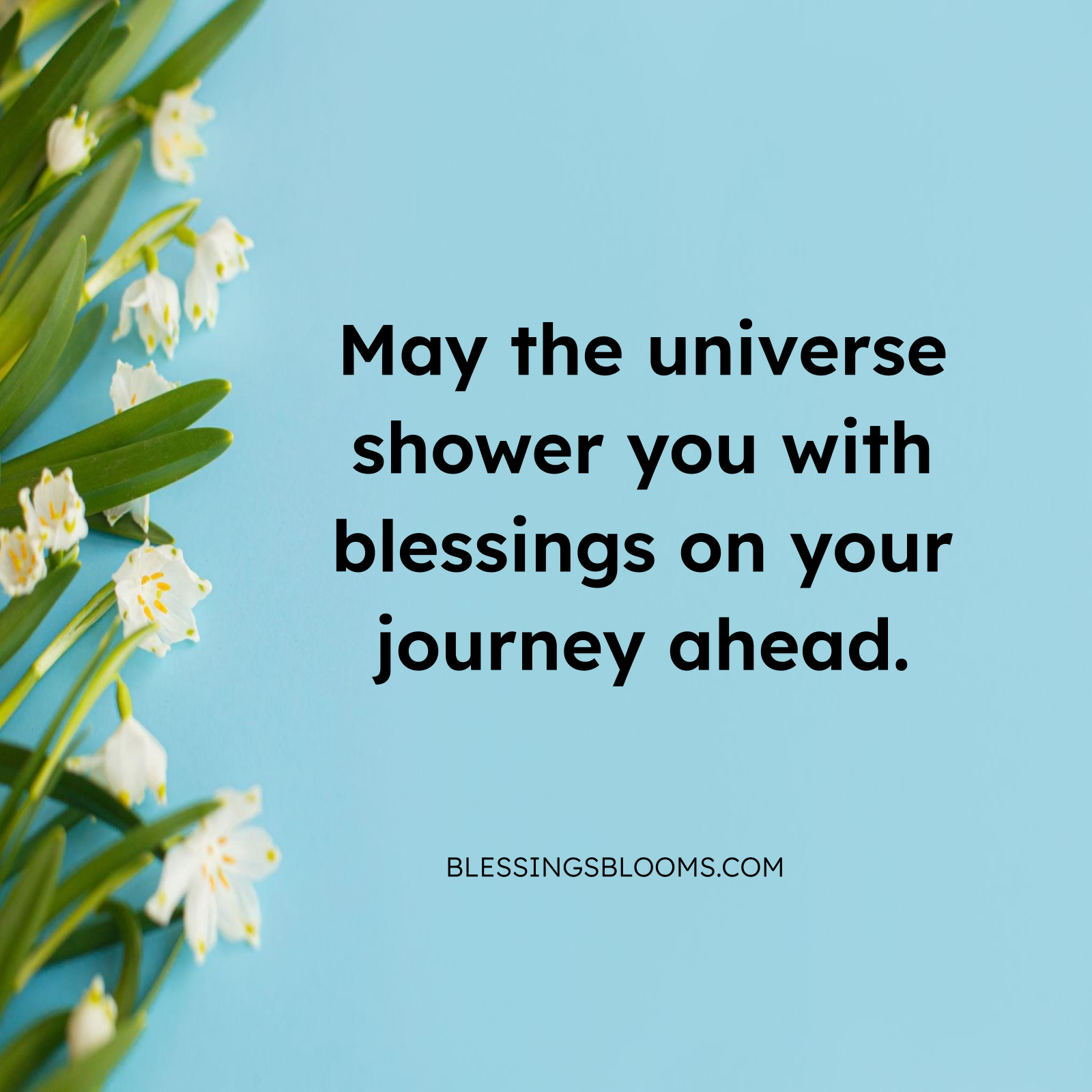 Abundance Blessing