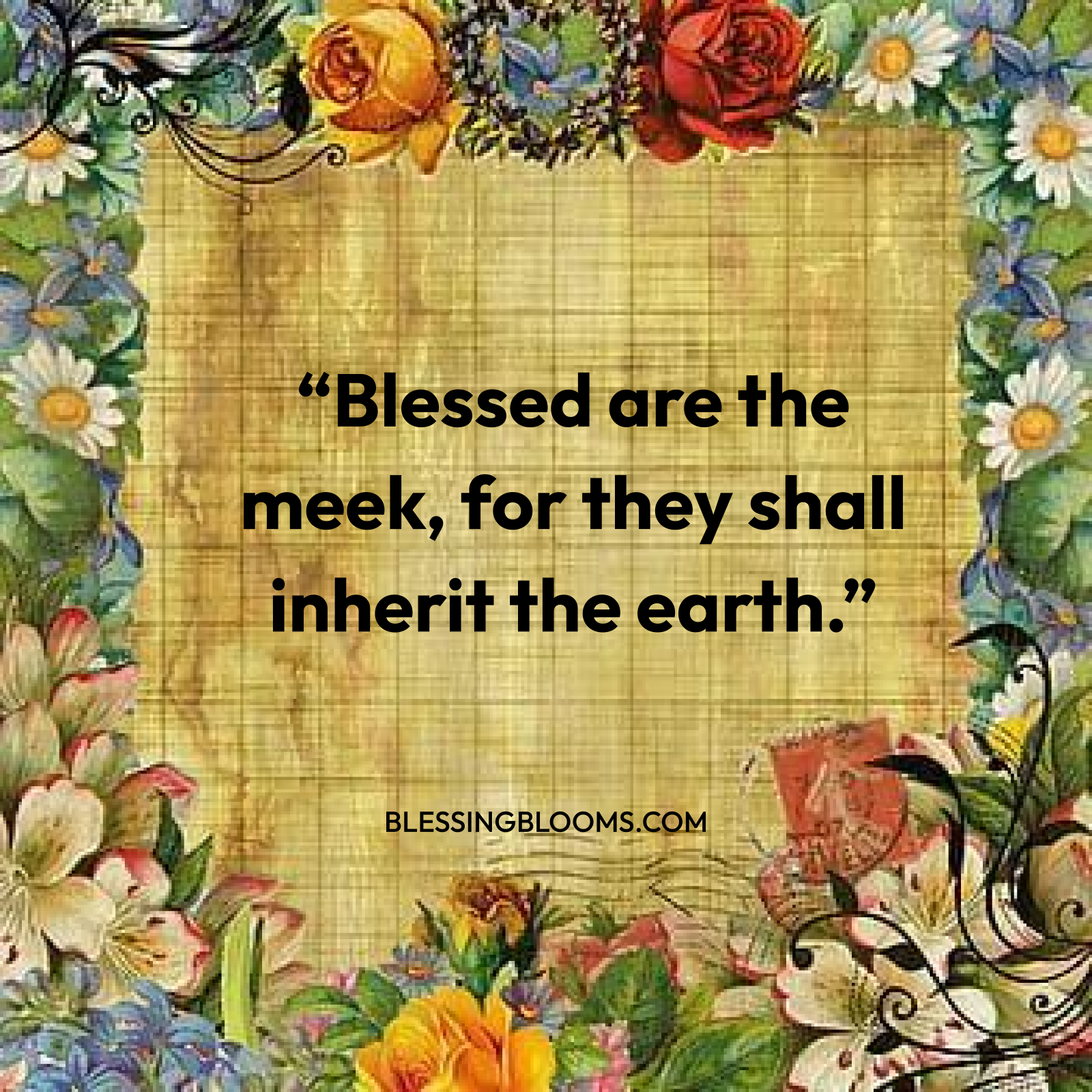 May This Monday Bring You Renewed Hope and Strength to Chase Your Dreams