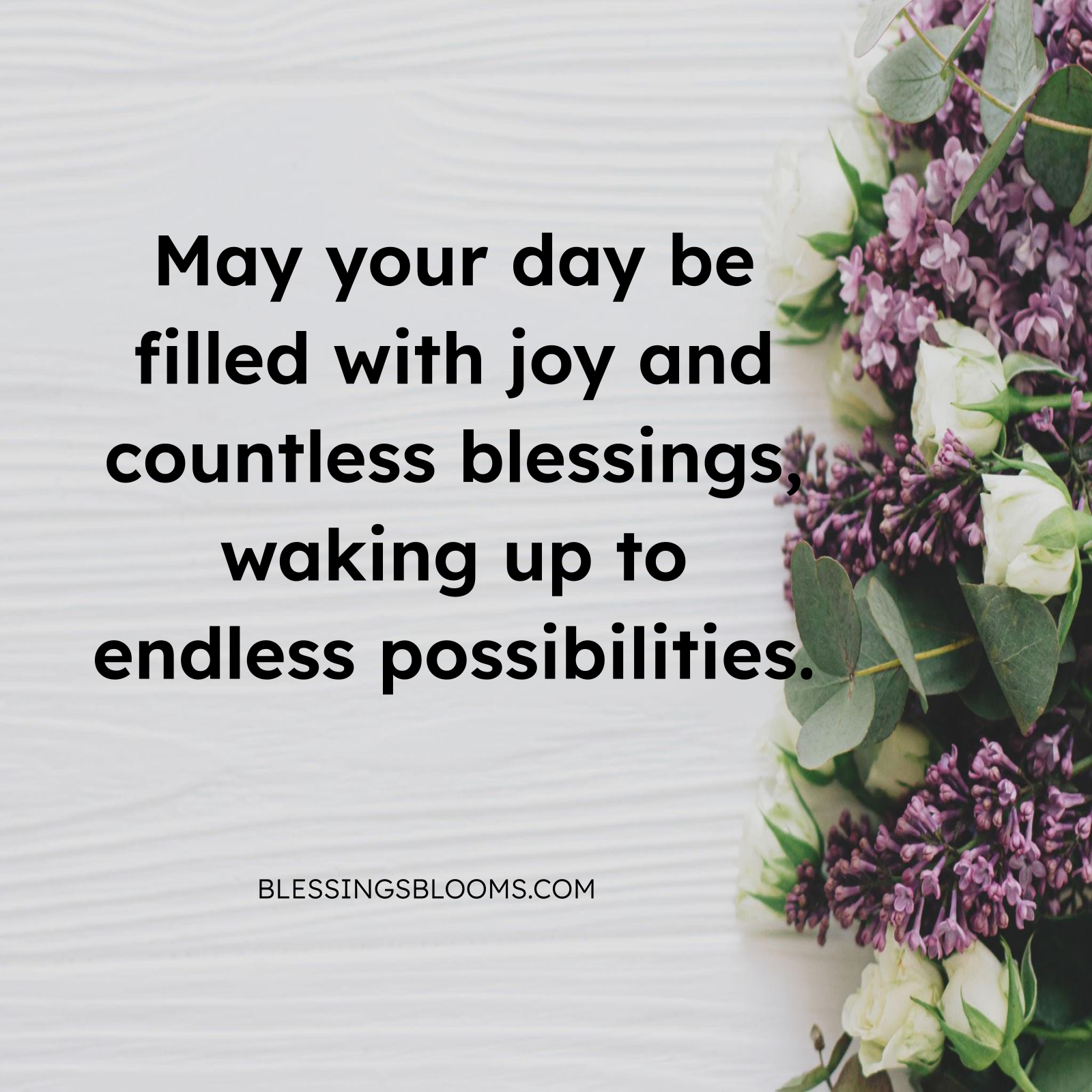 Abundance morning image