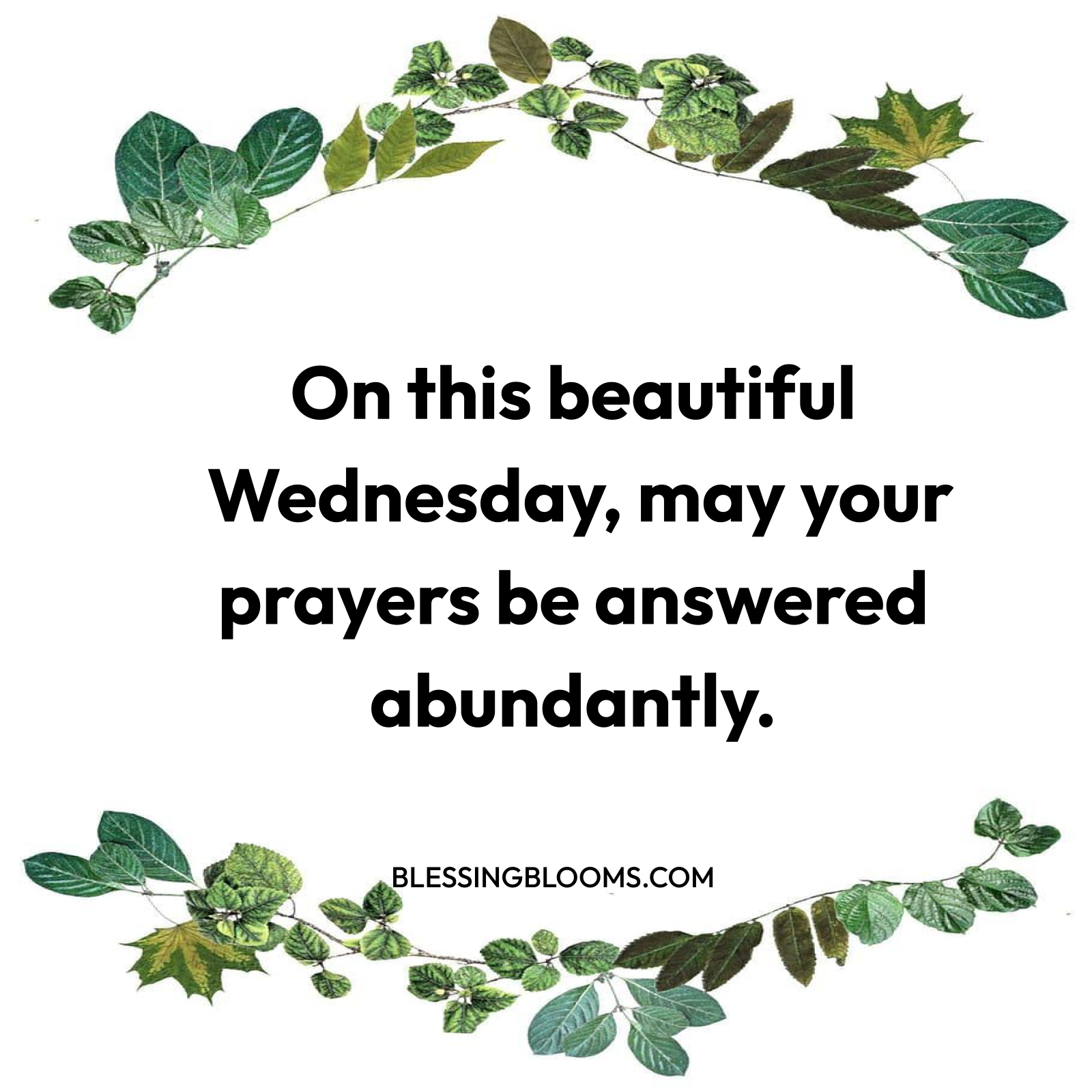 Wednesday Prayer Blessings for Love