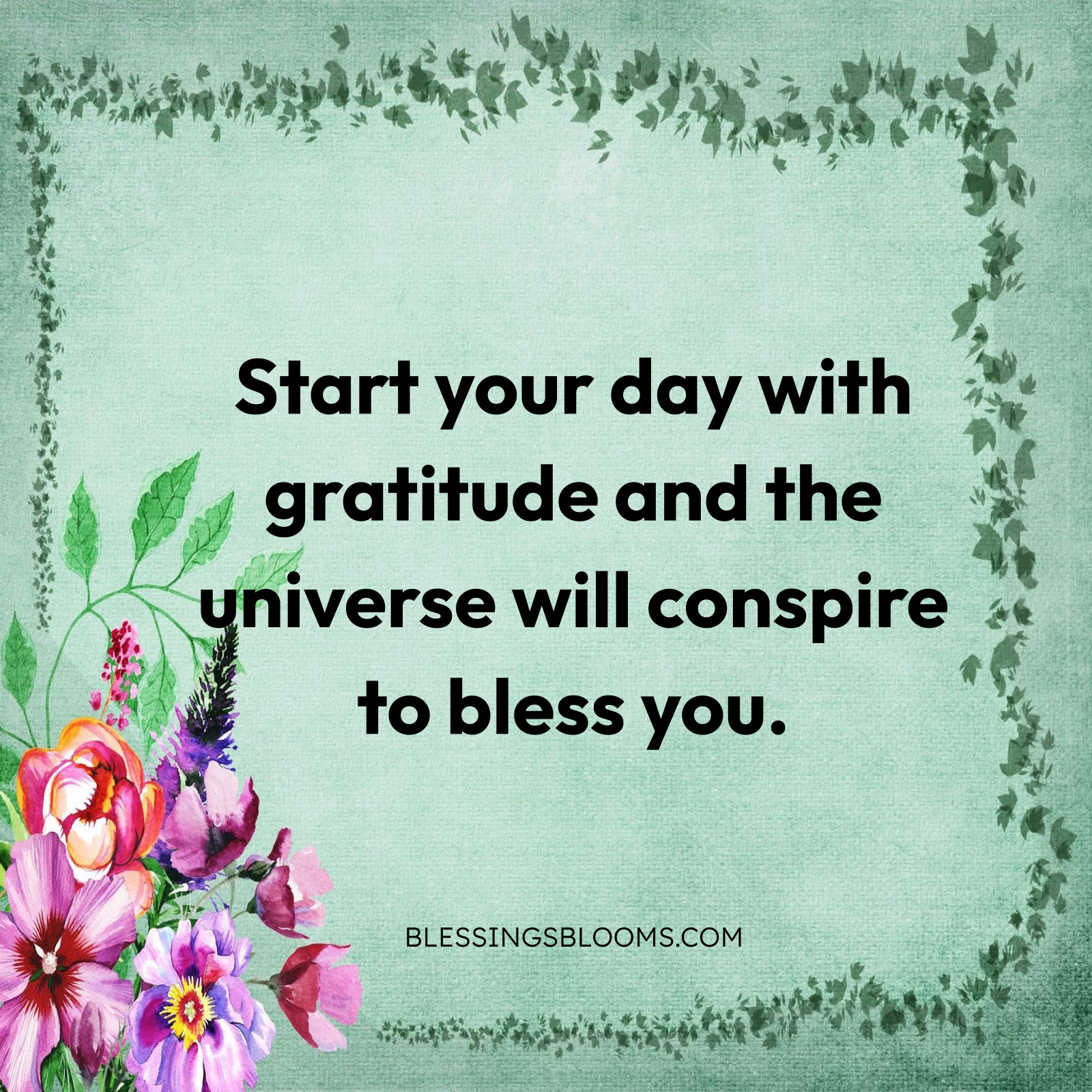 Morning Gratitude