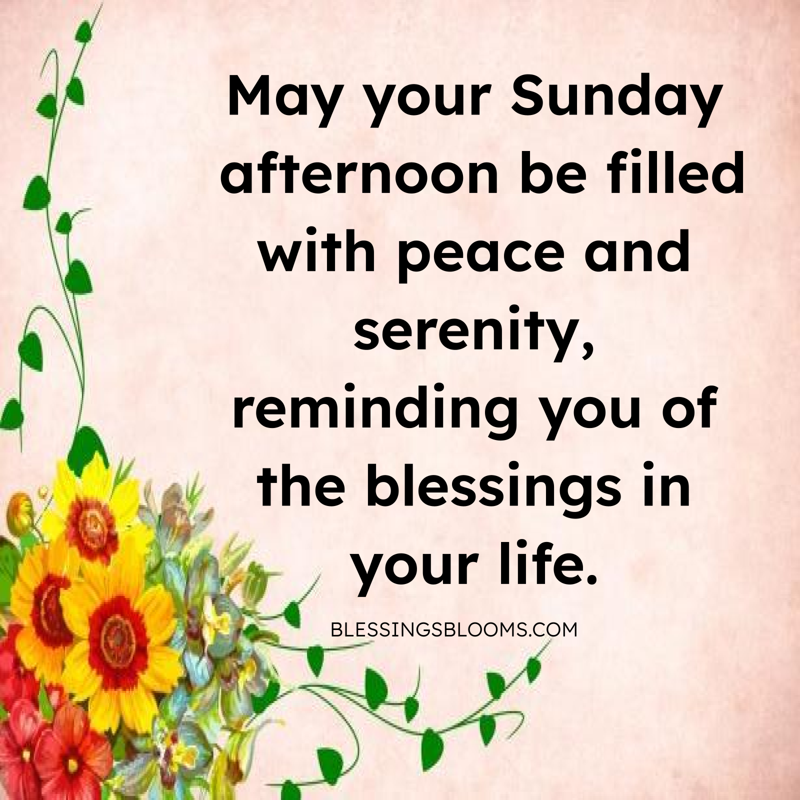 Embrace Peace and Gratitude