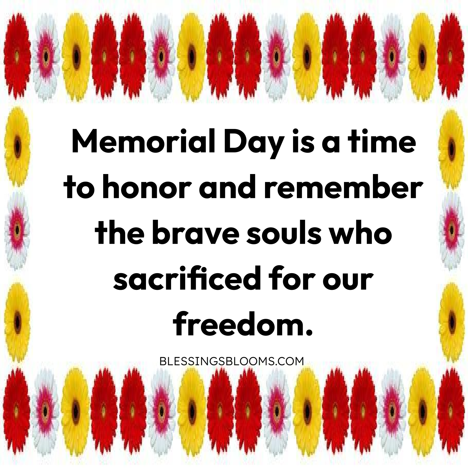 Memorial Day Gratitude