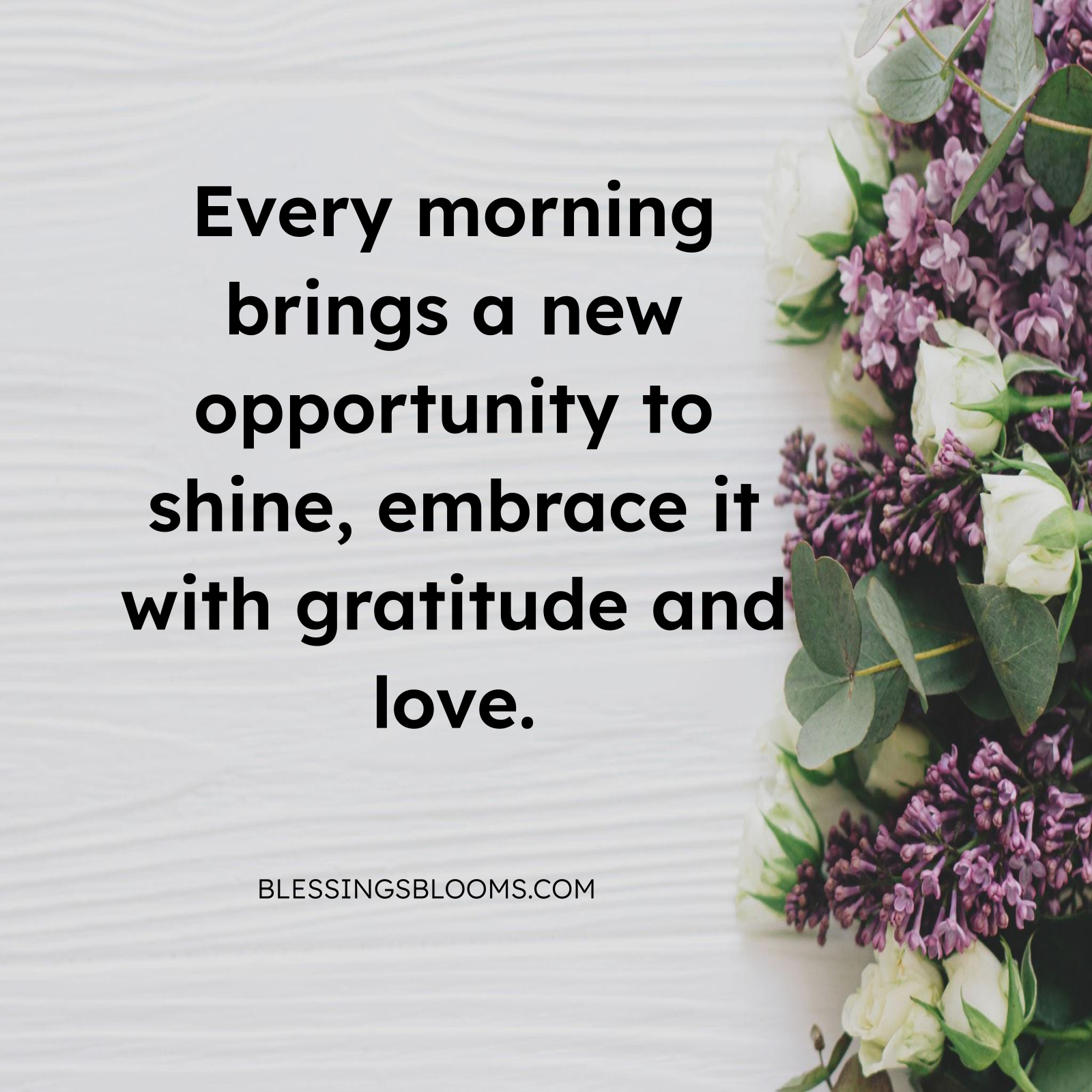 Joyful morning image