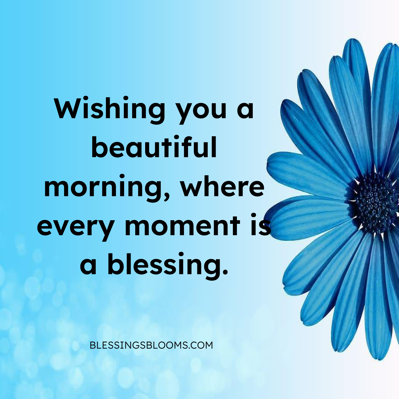 Grateful Family Togetherness